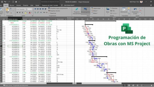 Programación de Obras con MS Project